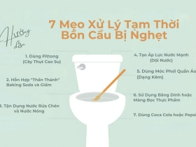 7 Mẹo Thông Tắc Bồn Cầu Tại Nhà Hiệu Quả Bất Ngờ (Áp Dụng Ngay Lập Tức)