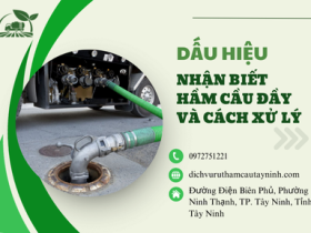 Dấu hiệu nhận biết hầm cầu đầy và cách xử lý