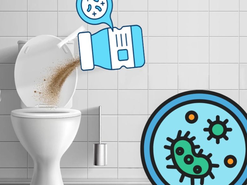 Hướng Dẫn Cách Sử Dụng Men Vi Sinh Cho Bể Phốt Đúng Kỹ Thuật